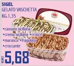 Big Food Sigel gelato vaschetta offerta