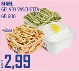 Big Food Sigel gelato vaschetta offerta