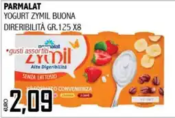 Big Food Parmalat Yogurt Zymil Buona offerta