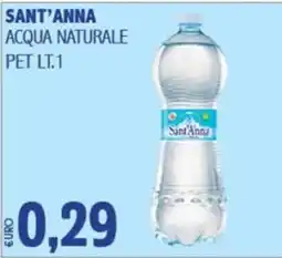 Big Food Acqua naturale Sant'Anna offerta
