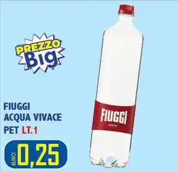 Big Food Fiuggi acqua vivace offerta