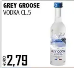 Big Food Grey Goose Vodka offerta
