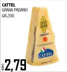 Big Food Cattel Grana Padano offerta