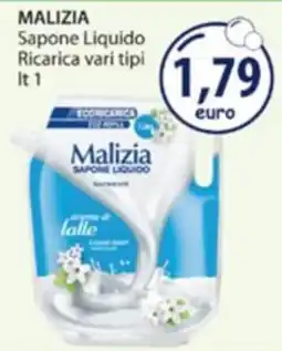 Acqua & Sapone Malizia Sapone Liquido offerta