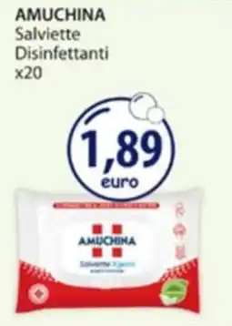 Acqua & Sapone Salviette Disinfettanti Amuchina offerta