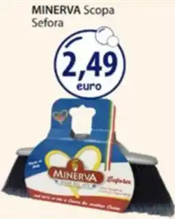 Acqua & Sapone Scopa Minerva offerta