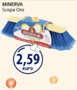 Acqua & Sapone Scopa Oro Minerva offerta