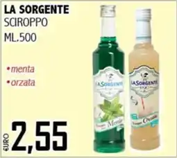 Big Food La Sorgente sciroppo offerta