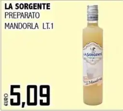 Big Food La Sorgente preparato mandorla offerta