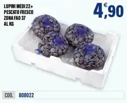 Adhoc Lupini medi 22+ offerta