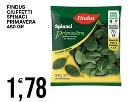 Vantaggio Cash&Carry Findus Spinaci Primavera offerta