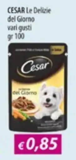 Acqua & Sapone CESAR Le Delizie del Giorno offerta