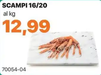 Scampi 16/20