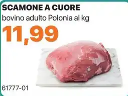 GrosMarket Scamone a cuore bovino adulto Polonia offerta