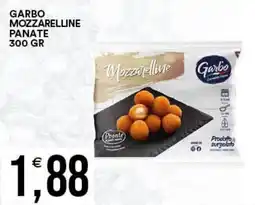 Vantaggio Cash&Carry Garbo Mozzarelline Panate offerta