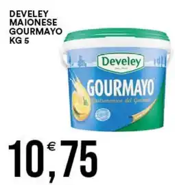 Vantaggio Cash&Carry Develey maionese gourmayo offerta