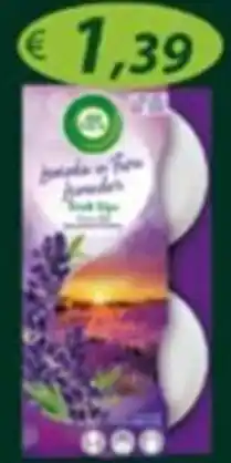 Lavanda in fiore