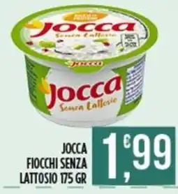 Supermercato Pollio Jocca fiocchi senza lattosio offerta