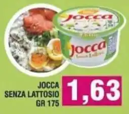 Bitar Jocca senza lattosio offerta