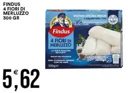Vantaggio Cash&Carry Findus 4 Fiori di Merluzzo offerta