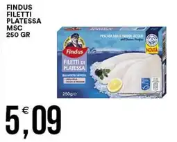 Vantaggio Cash&Carry Findus filetti di platessa offerta