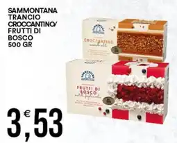 Vantaggio Cash&Carry Sammontana trancio croccantino frutti di bosco offerta