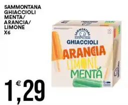 Vantaggio Cash&Carry Sammontana ghiaccioli arancia limone menta offerta