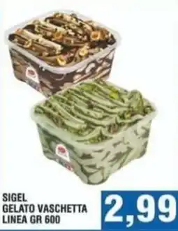 Bitar Sigel gelato vaschetta linea gr 600 offerta