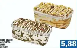 Bitar Sigel gelato vaschetta linea offerta
