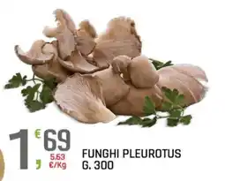 A&O Funghi Pleurotus offerta