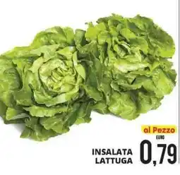 Mazzeo Giocattoli Insalata lattuga offerta