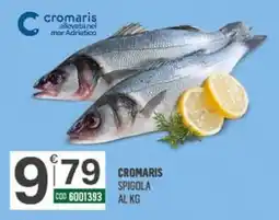Tutto Risparmio Cash&Carry Cromaris spigola offerta