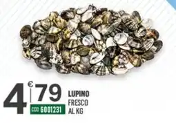 Tutto Risparmio Cash&Carry Lupino fresco offerta