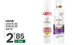 Tutto Risparmio Cash&Carry Pantene lacca offerta