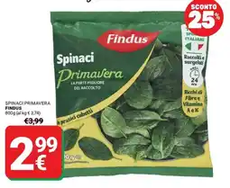 Supermercati Gulliver Spinaci Primavera Findus offerta