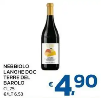 Nebbiolo Langhe Doc Terre del Barolo