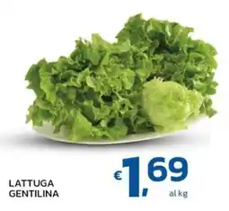 Ok Market Lattuga gentilina offerta