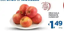 Ok Market Mele Gala Piemonte Cuneo IGP offerta