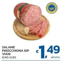 Ok Market Salame finocchiona IGP Viani offerta