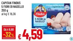 Galassia Findus 5 Fiori di Nasello offerta