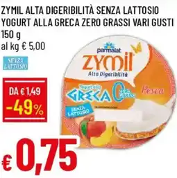 Galassia Zymil yogurt greca offerta