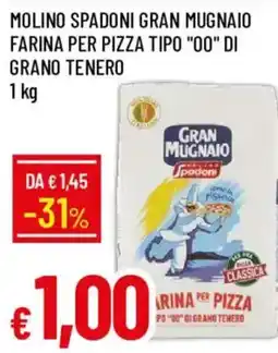 Galassia Farina per pizza tipo "00" di grano tenero Gran Mugnaio offerta