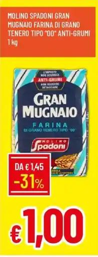 Galassia Gran Mugnaio farina di grano tenero tipo "00" offerta
