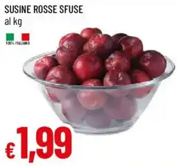 Galassia Susine rosse sfuse offerta