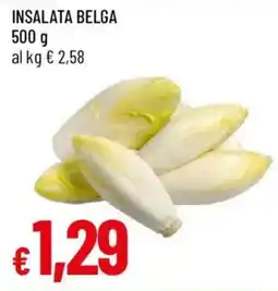 Galassia Insalata belga offerta