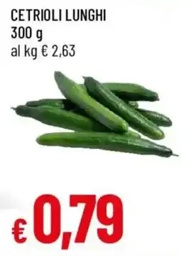 Galassia Cetrioli lunghi offerta