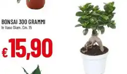 Galassia Bonsai 300 Grammi offerta