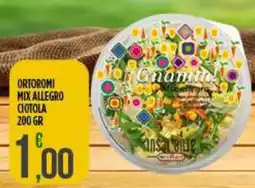 Netto Supermercati Ortoromi mix allegro ciotola offerta