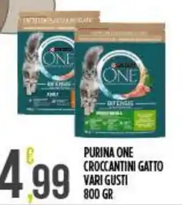 Netto Supermercati Purina One Crockantini Gatto offerta