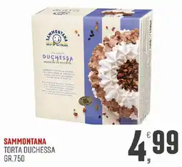 Maxipiù Sammontana Torta Duchessa offerta